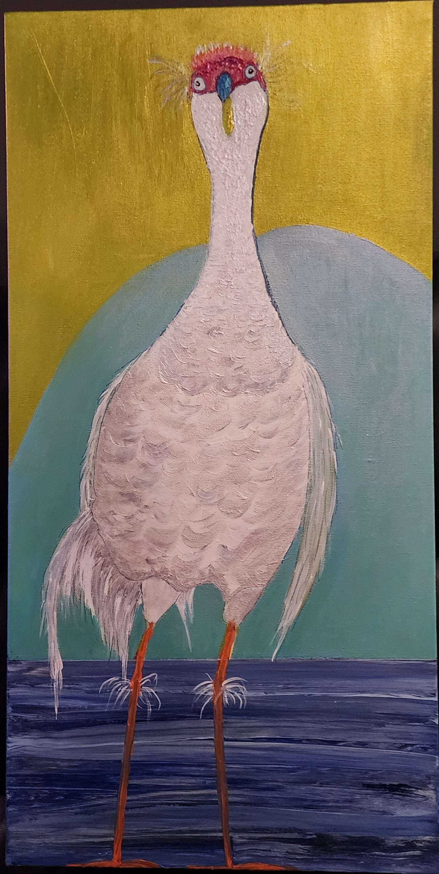 Curious Henry Premium 15x29