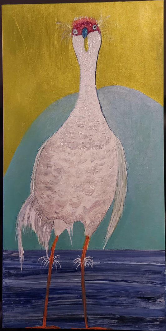 Curious Henry Premium 15x29