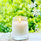 Citronella Candles Three Scents